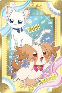 yP07 ނLzvLAI[X^[Y LLJ[hO~(2024N5) J[ĥ