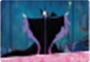 yNo.016 X̔z fBYj[vZX g[fBORNV