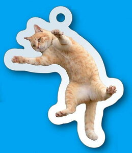 yvj[zCkVSlR ANL[`F[RNV