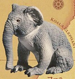 【コアラエレファント】時空的漂流 ナゾパゴス島