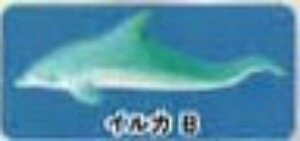 yCJBzCmW ~jtBMARNV Diamond Ocean