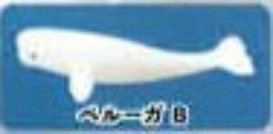 yx[KBzCmW ~jtBMARNV Diamond Ocean