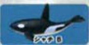 yV`BzCmW ~jtBMARNV Diamond Ocean