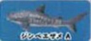 yWxGUAzCmW ~jtBMARNV Diamond Ocean