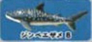 yWxGUBzCmW ~jtBMARNV Diamond Ocean