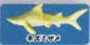 ylY~UzCmW ~jtBMARNV Diamond Ocean