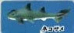 ylRUzCmW ~jtBMARNV Diamond Ocean