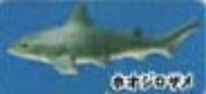 yzIWUzCmW ~jtBMARNV Diamond Ocean