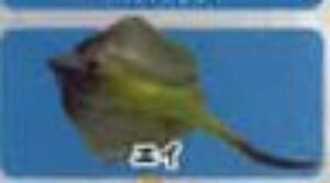 yGCzCmW ~jtBMARNV Diamond Ocean