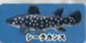 yV[JXzCmW ~jtBMARNV Diamond Ocean