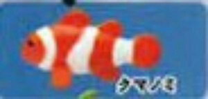 yN}m~zCmW ~jtBMARNV Diamond Ocean