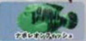 yi|ItBbVzCmW ~jtBMARNV Diamond Ocean