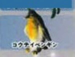 yREeCyMzCmW ~jtBMARNV Diamond Ocean