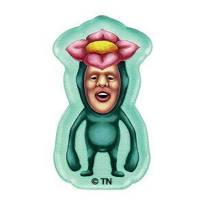 ygniKVzтƂÂ V[NbgANXebJ[