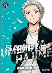 yNo.15 ~{zWIND BREAKER NAJ[hRNVK J[ĥ