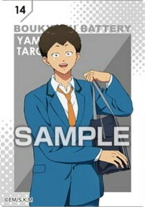 yNo.14 RcYzYpobe[ NAJ[hRNVK J[ĥ