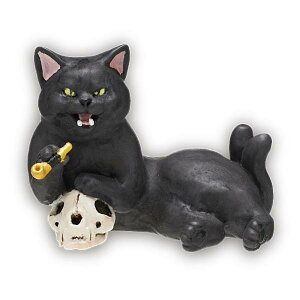 yLF()zA[gjueNjJ[ ̔L tBMA}XRbg2