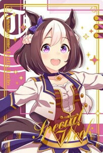 yWSR-17 XyVEB[N (LN^[J[hA) zE} veB[_[r[ cCEGn[X Special R