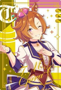 yWSR-21 eCGIyI[ (LN^[J[hA) zE} veB[_[r[ cCEGn[X Special R