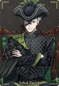 yNo.21 ZxNEWO{g (LN^[J[h) zfBYj[ cCXebh_[h/cCEGn[X5