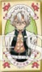 y11.szSł̐n GDFRNV2