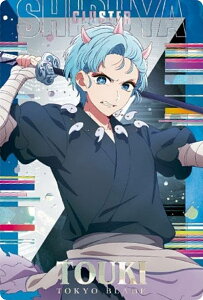 y[zdl] 08 S (XyVJ[h) zy̎qzEGn[X2