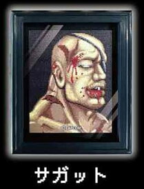 【サガット】ストリートファイターII 負け顔 額縁マグネット