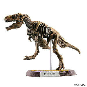 y1.eBmTEXi ΃J[z}X^[5