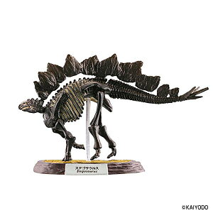 y5.XeSTEXi ΃J[z}X^[5