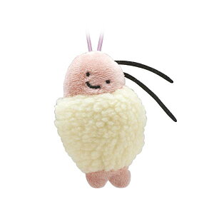 yubN^CK[zzCg^CK[ƃubN^CK[ ʂ