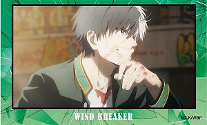 yy(B)zWIND BREAKER ANAJ[hRNV