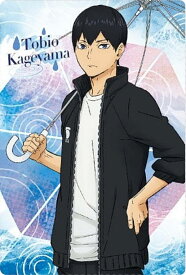 【No.02 影山飛雄 (キャラクターカード) 】ハイキュー!! ウエハース5