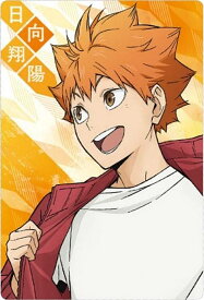 【[ホログラム仕様] No.17 日向翔陽 (描き下ろしカード) 】ハイキュー!! ウエハース5