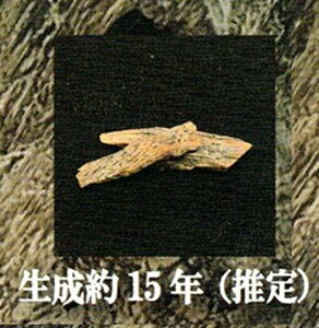 y15Nijzō RNV