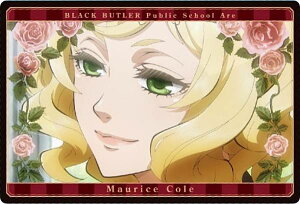 yNo.13 [XER[ (Xg[[J[h) z -hwZ- EGn[X