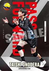 y1-02 쎛u (m[}) zJAPAN NATIONAL VOLLEYBALL TEAM cCEGn[X