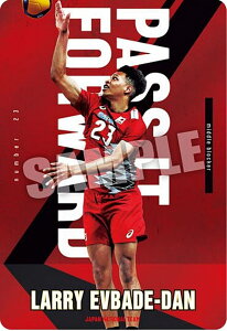 【1-17 エバデダン・ラリー (ノーマル) 】JAPAN NATIONAL VOLLEYBALL TEAM ツインウエハース