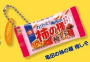 yTc̊`̎ ~zTc `̎킾!?َqL[`F[