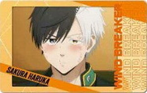 yy(B)zWIND BREAKER Xibv}Ch