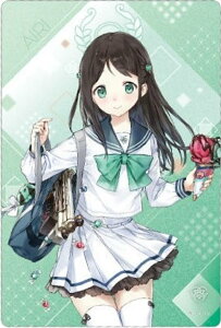 yNo.21 IAC (LN^[J[h)zu[A[JCu EGn[X3