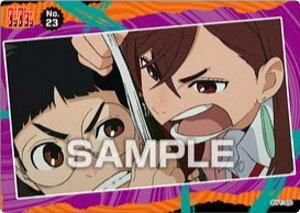 yNo.23 IJz___ NAJ[hRNVK J[ĥ