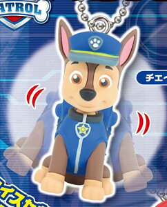 y`FCXzpEEpg[ pEƂՂՂ}XRbg