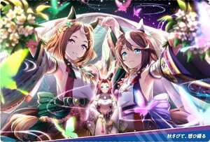 yW8-19 HтāAzВԂ (rWAA[gJ[h)zE} veB[_[r[ cCEGn[X 8R