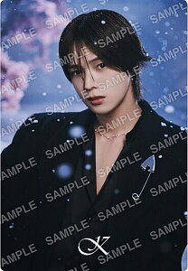 【No.21 K (雪明りデザインシール/ノーマル)】&TEAM ツインウエハース