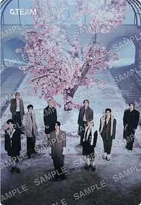 y[dl] No.30 W (AV[/A)z&TEAM cCEGn[X