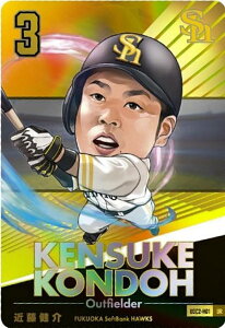 y[dl] BDC2-H01 ߓ \tgoNz[NX (UR EgA) zv싅ftHJ[hRNV2025SPRING ̎ J[ĥ