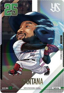 yBDC2-Y02 h~SET^i NgX[Y (R A) zv싅ftHJ[hRNV2025SPRING ̎ J[ĥ