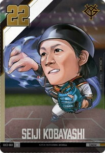 yBDC2-G03  i ǔWCAc (C R) zv싅ftHJ[hRNV2025SPRING ̎ J[ĥ