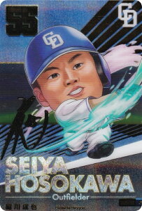 y[p/Fdl] BDC2-D01 א쐬 hSY (UR EgA) zv싅ftHJ[hRNV2025SPRING ̎ J[ĥ