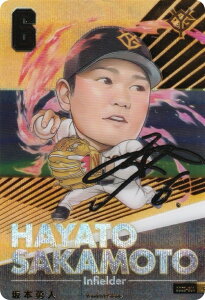 y[p/Fdl] BDC2-G01 {El ǔWCAc (UR EgA) zv싅ftHJ[hRNV2025SPRING ̎ J[ĥ